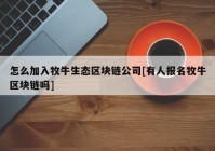 怎么加入牧牛生态区块链公司[有人报名牧牛区块链吗]